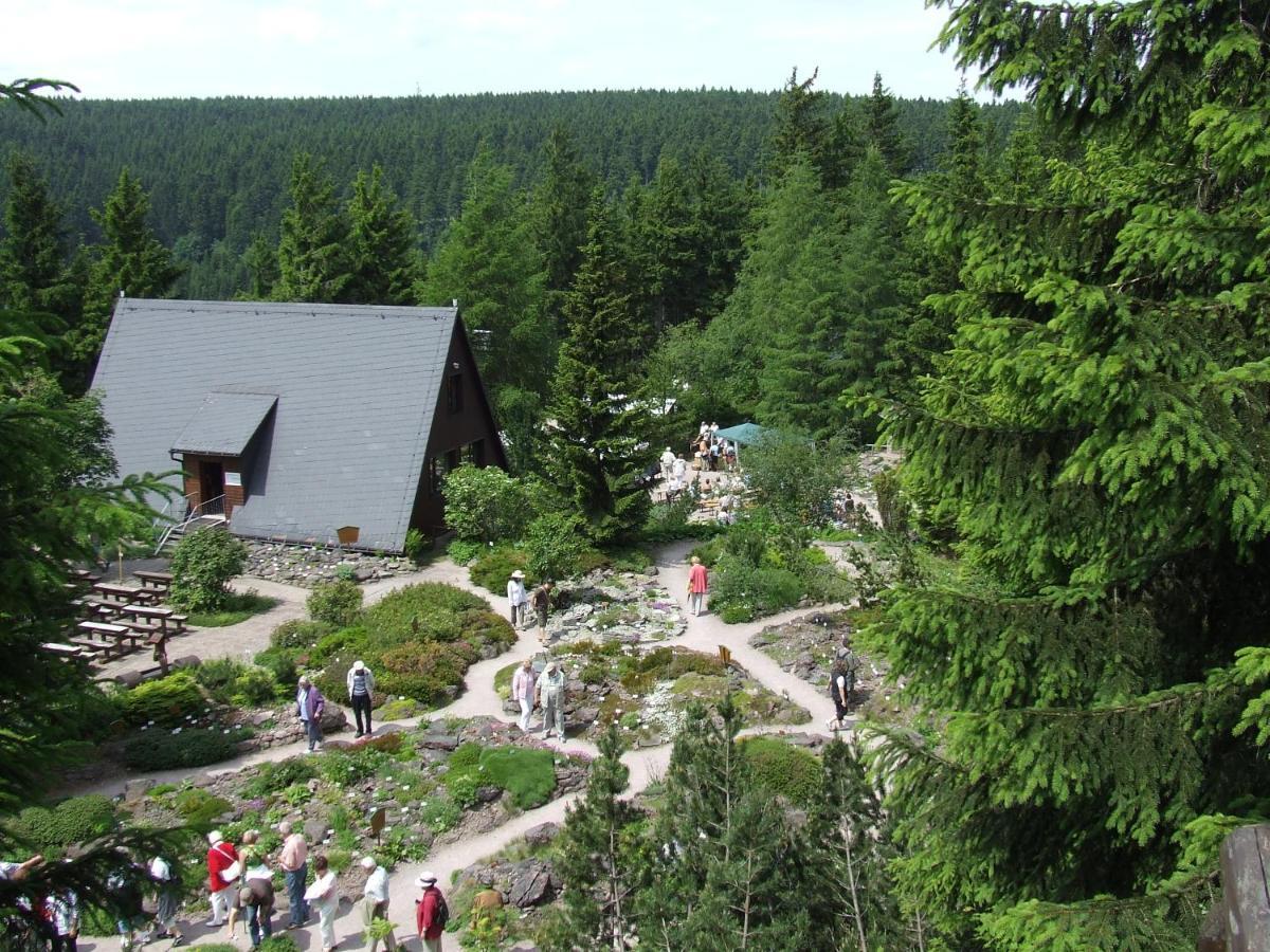 Konsum Gaestehaus Quisisana - Oberhof Обергоф Екстер'єр фото